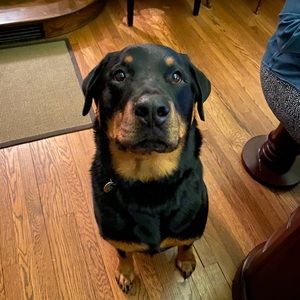 Meet your Posher, Seth